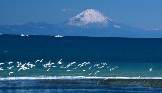 鏡ヶ浦